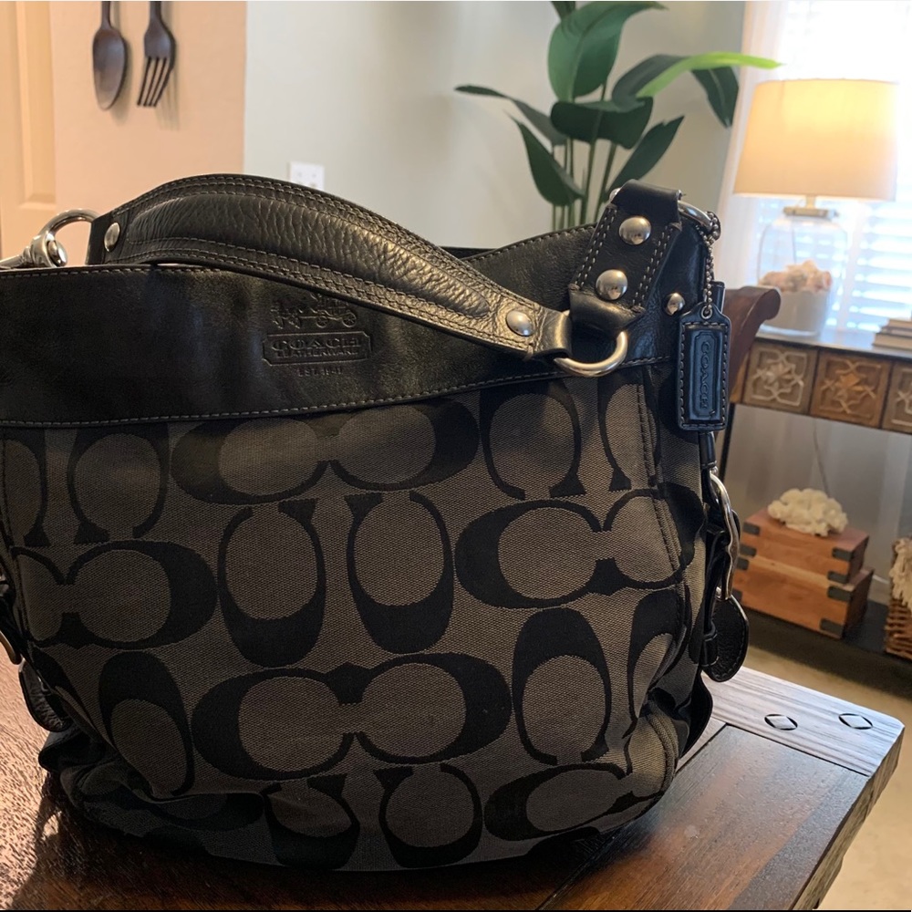 Coach Carly Large Signature Bag